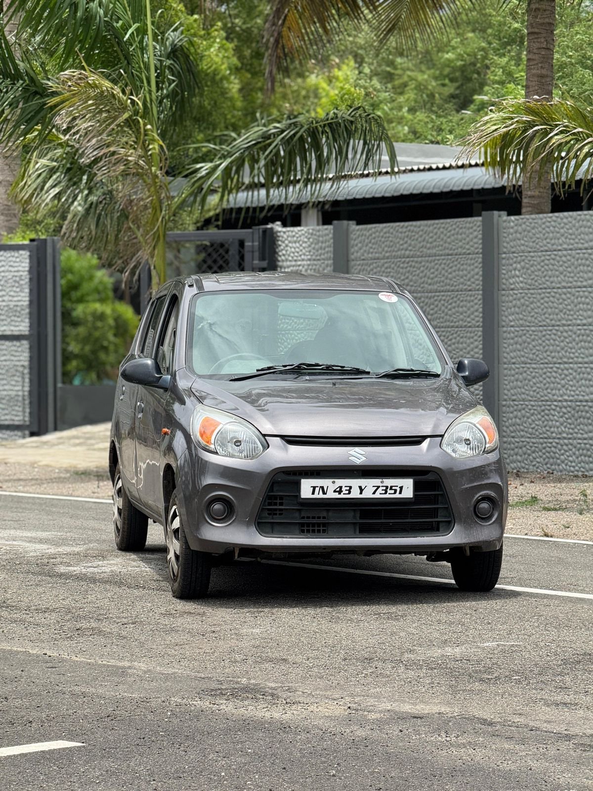 Alto 800