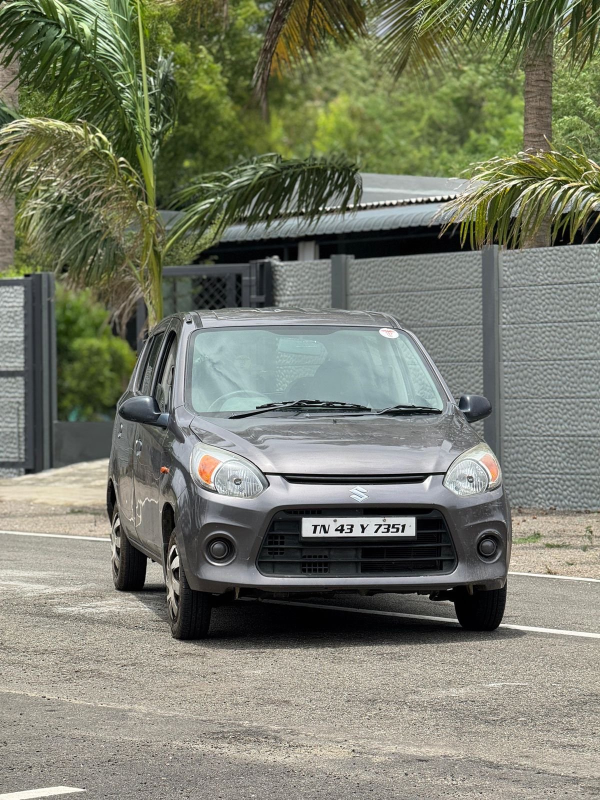Alto 800