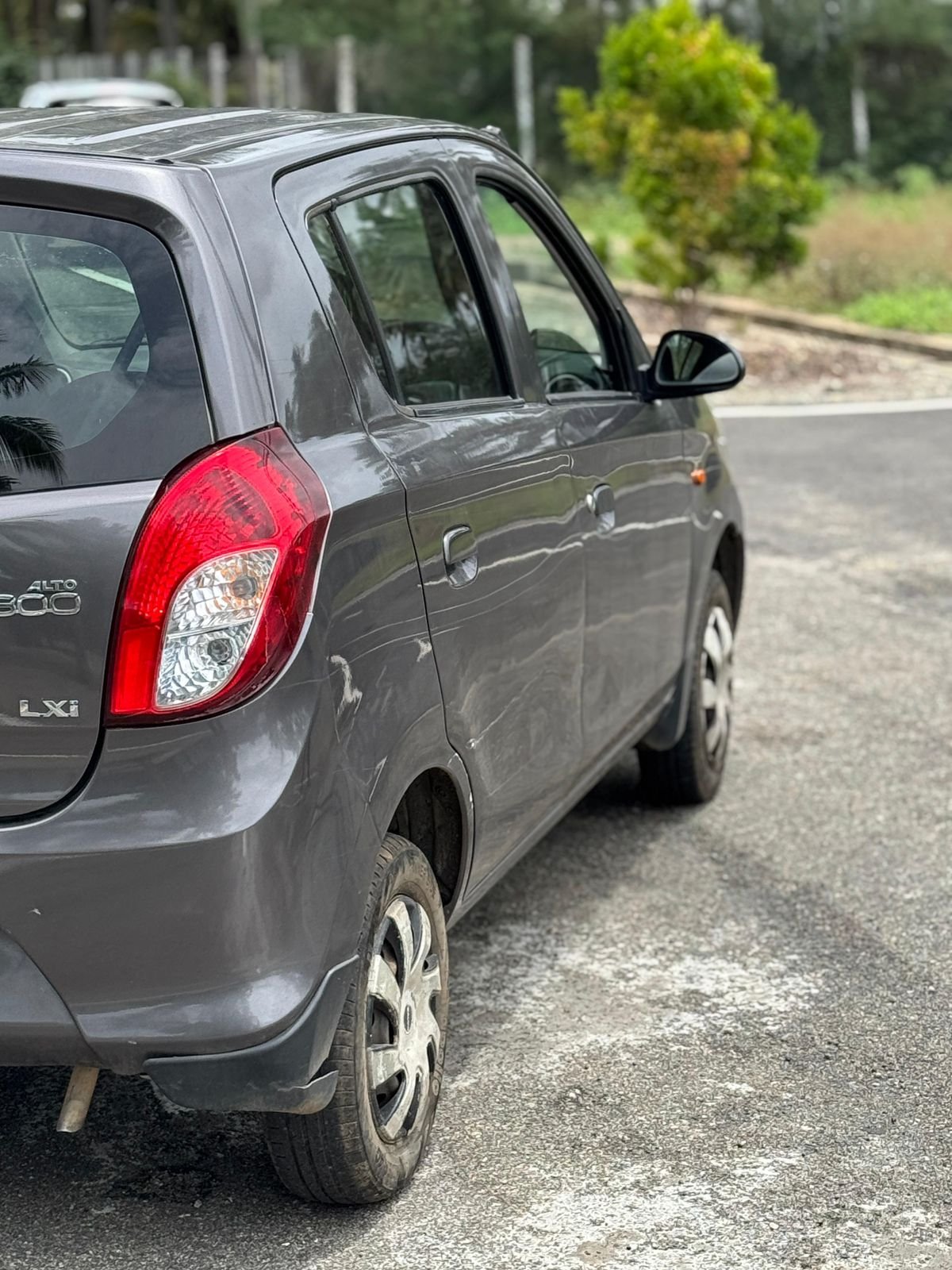Alto 800